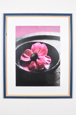 Foto mit Mohnblume in Schale
