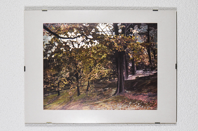 Herbststimmung, reflektierend