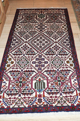 Joschaghan (Iran) L&auml;ufer